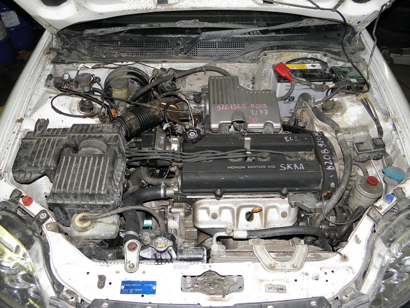 PC150012.JPG