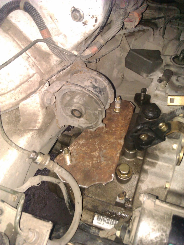 IMAG0072.jpg
