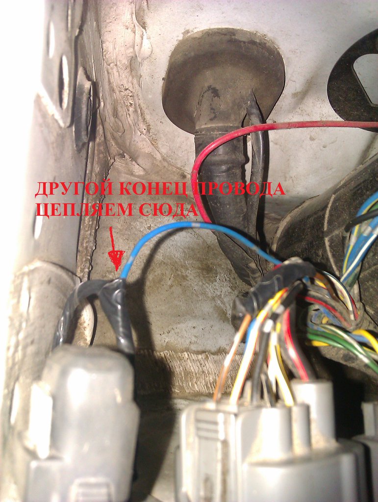 IMAG0097.jpg