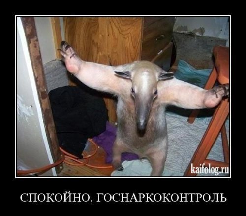 VjQsElRiKtU.jpg