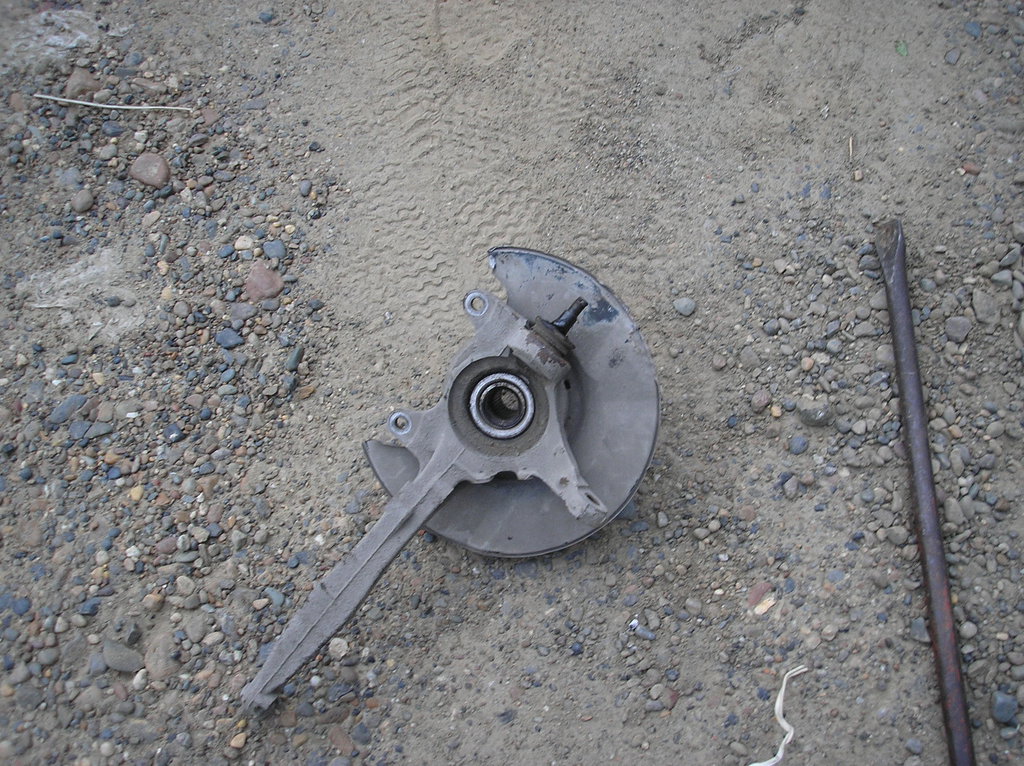 P1016494.JPG
