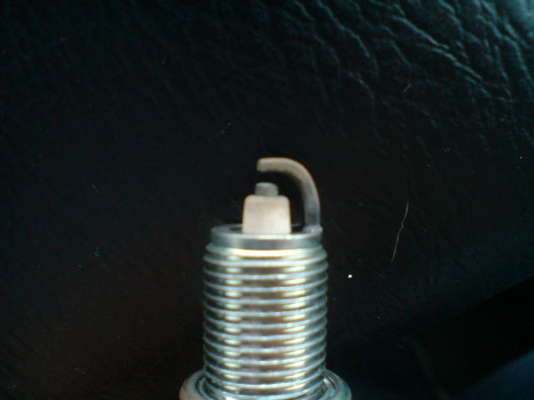 DSC01166.JPG